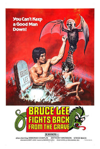 Bruce Lee Fights Back From the Greve - 1978 - Vintage Classic Kung Fu Movie Poster