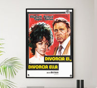Divorce His - Divorce Hers 1973 - Richard Burton - Spain - Classic Movie Poster