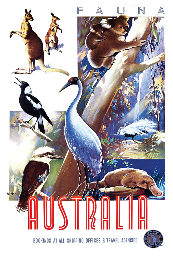 Australia 4 - Vintage Travel Poster