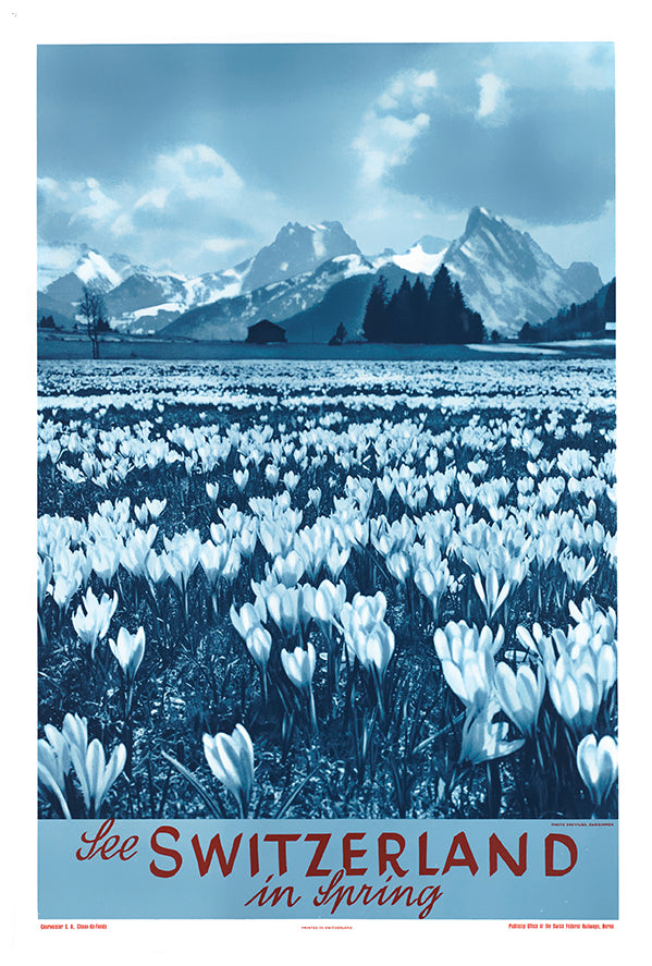 Switzerland - Spring - Vintage Travel Poster