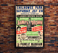 James Brown - Knoxville - 1962 - Music Concert Poster