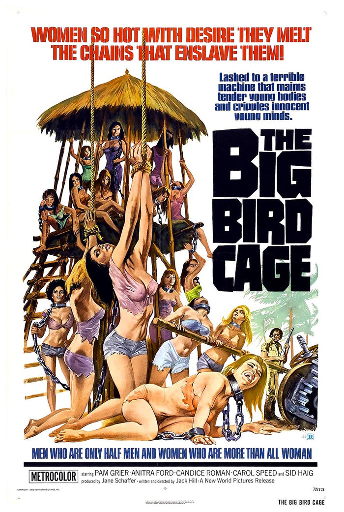 The Big Bird Cage 1972 - Vintage Horror Classic Movie Poster