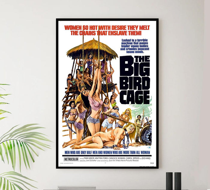 The Big Bird Cage 1972 - Vintage Horror Classic Movie Poster