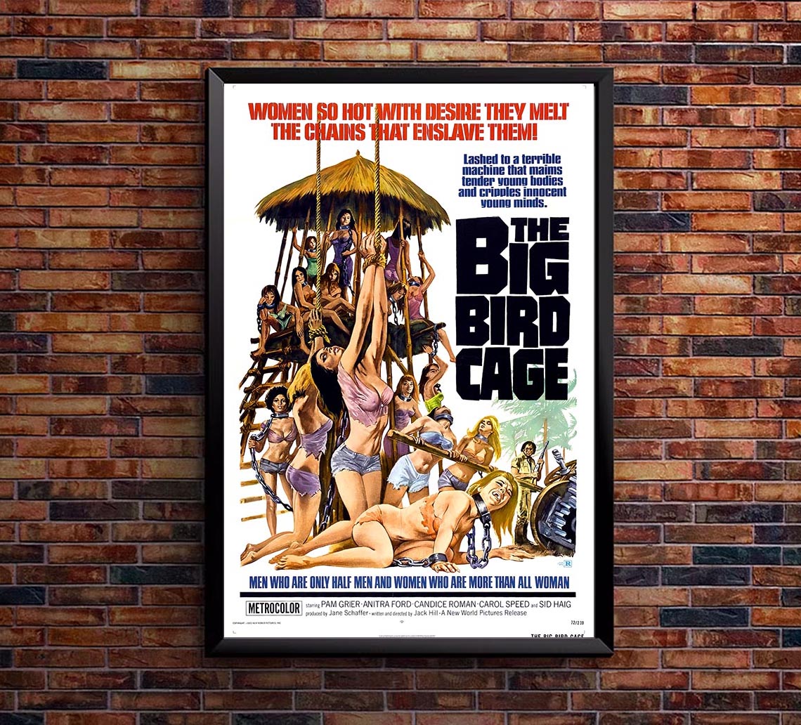 The Big Bird Cage 1972 - Vintage Horror Classic Movie Poster