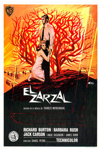 The Bramble Bush 1960 - Richard Burton - Spain - Classic Movie Poster