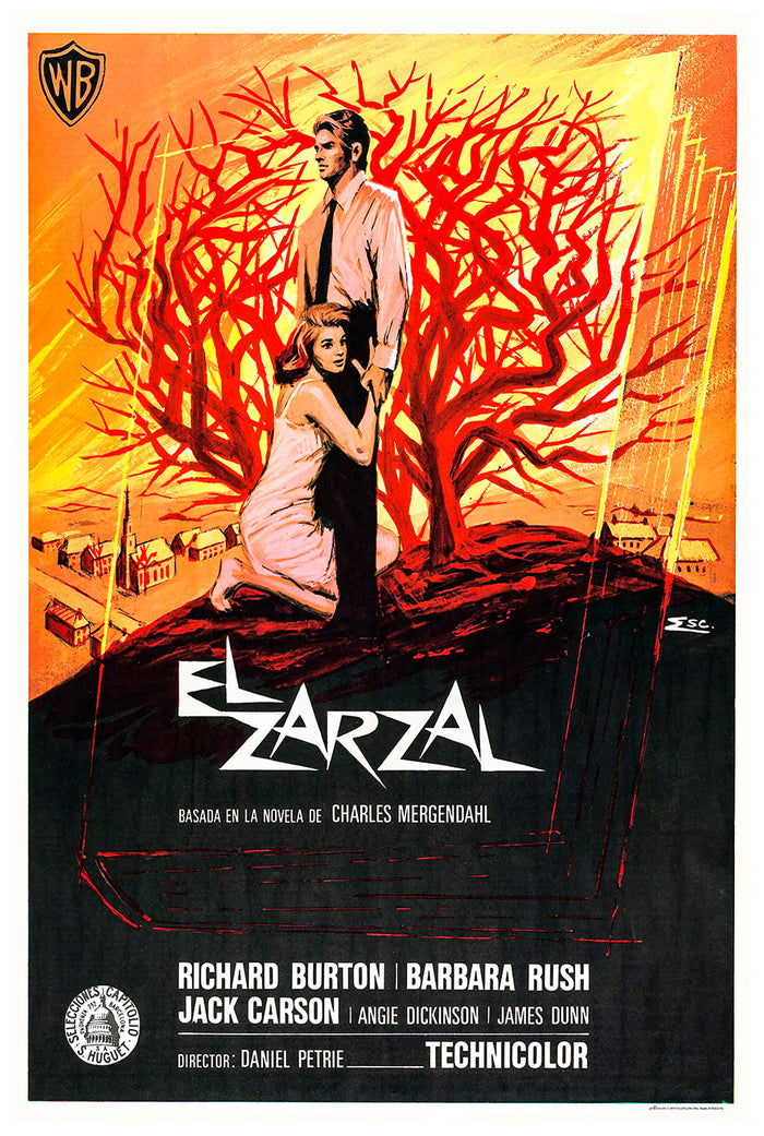 The Bramble Bush 1960 - Richard Burton - Spain - Classic Movie Poster