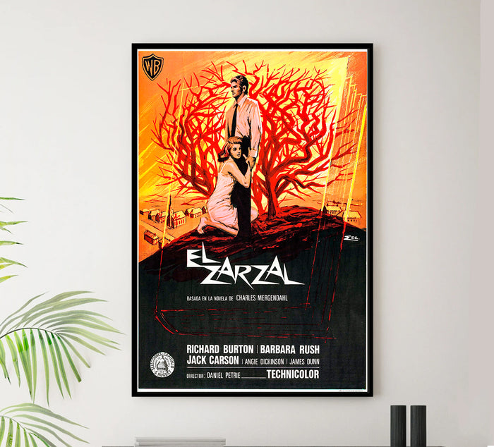 The Bramble Bush 1960 - Richard Burton - Spain - Classic Movie Poster