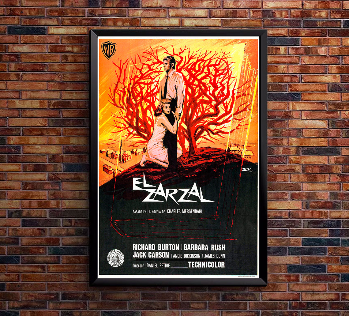 The Bramble Bush 1960 - Richard Burton - Spain - Classic Movie Poster