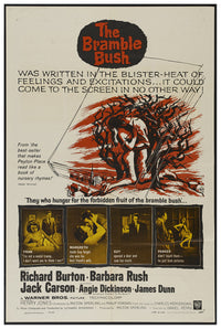 The Bramble Bush 1960 - Richard Burton - US - Classic Movie Poster