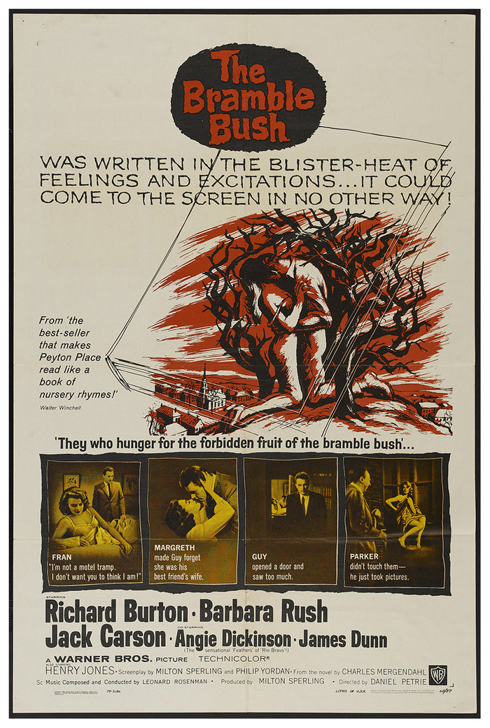 The Bramble Bush 1960 - Richard Burton - US - Classic Movie Poster