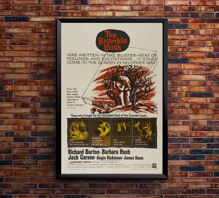 The Bramble Bush 1960 - Richard Burton - US - Classic Movie Poster