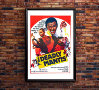 The Deadly Mantis - Gordon Liu - 1978 - Vintage Classic Kung Fu Movie Poster