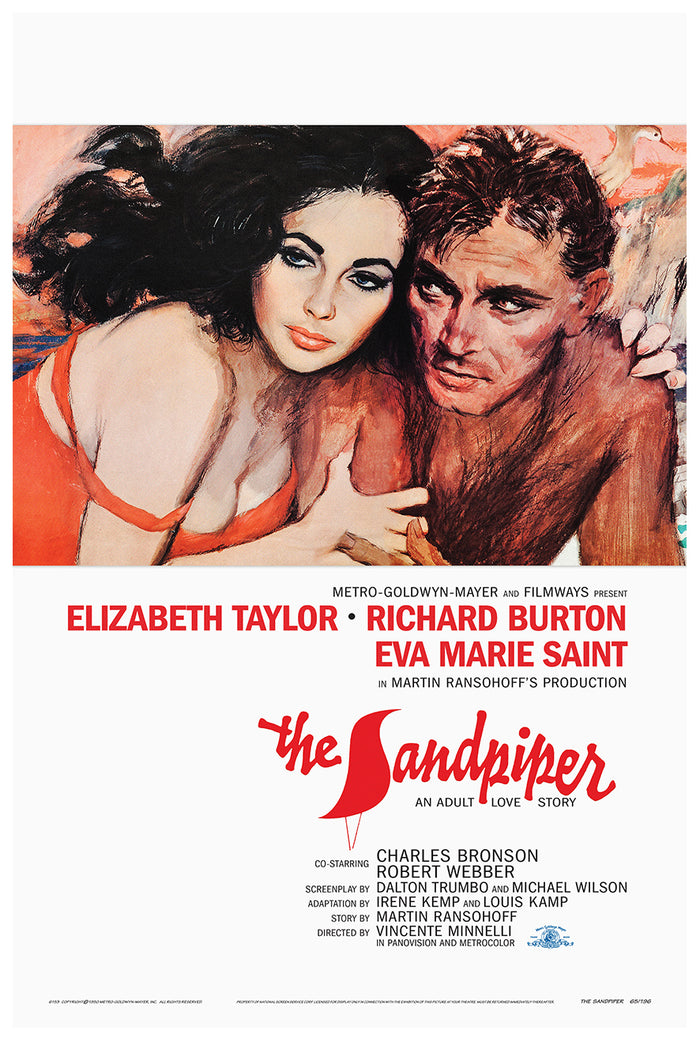 The Sandpiper 1965 - Richard Burton - US 2 - Classic Movie Poster
