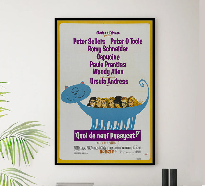 What's New, Pussycat 1965 - Richard Burton - France - Classic Movie Poster