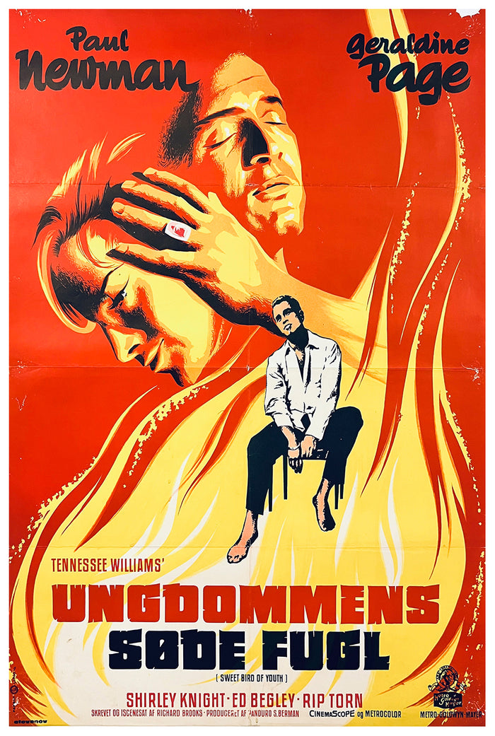 Sweet Bird of Youth 1962 - Paul Newman - Denmark - Classic Movie Poster