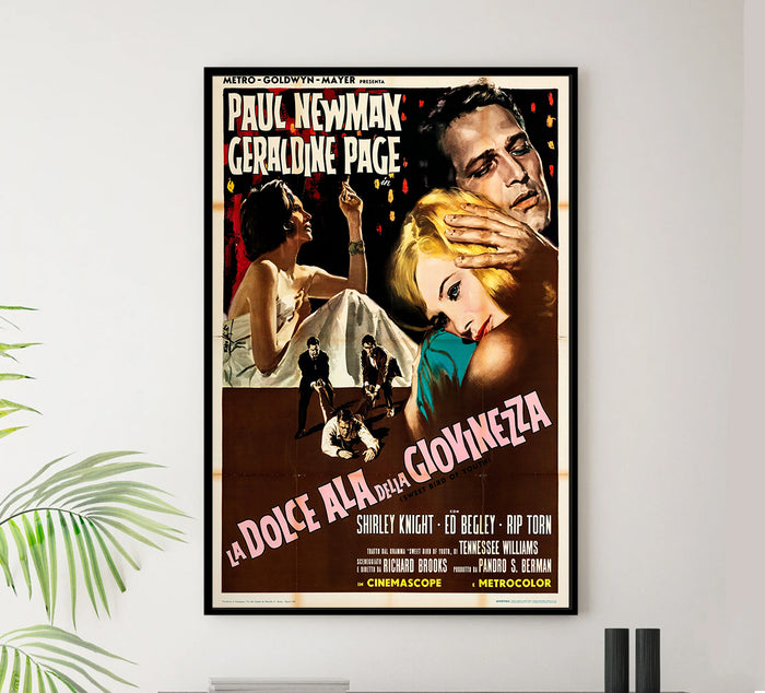 Sweet Bird of Youth 1962 - Paul Newman - Italy - Classic Movie Poster