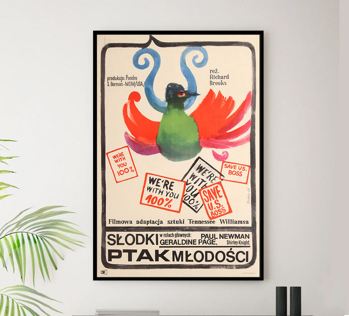 Sweet Bird of Youth 1962 - Paul Newman - Poland - Classic Movie Poster