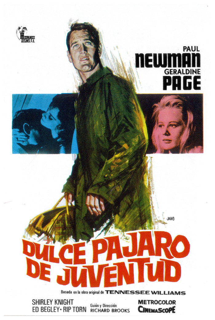 Sweet Bird of Youth 1962 - Paul Newman - Spain - Classic Movie Poster