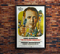The Drowning Pool 1975 - Paul Newman - Argentina - Classic Movie Poster