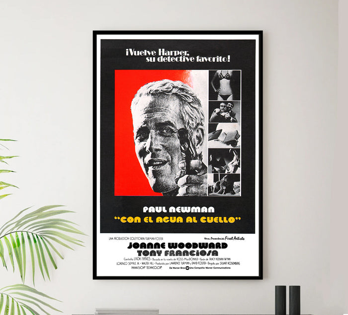 The Drowning Pool 1975 - Paul Newman - Spain - Classic Movie Poster