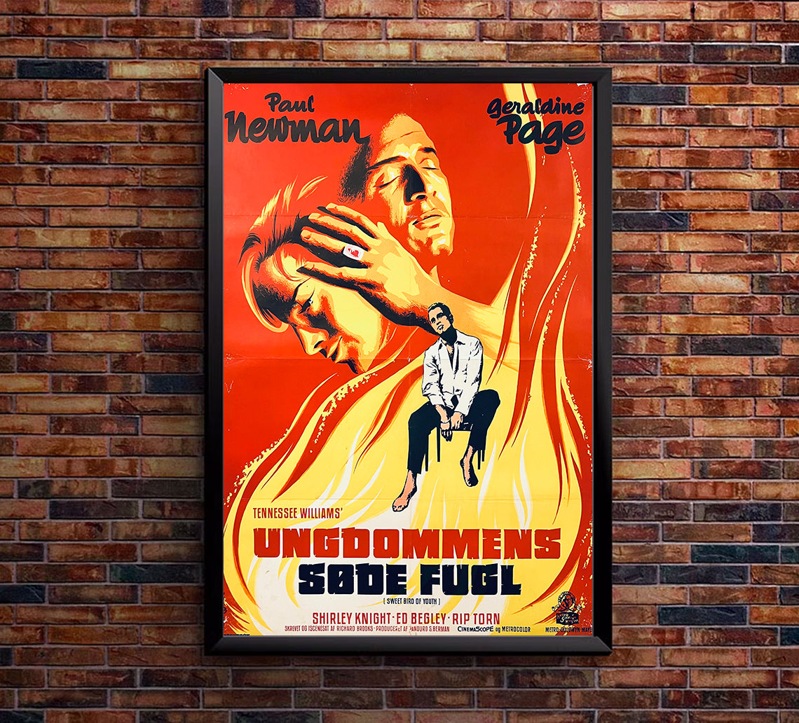 Sweet Bird of Youth 1962 - Paul Newman - Denmark - Classic Movie Poster