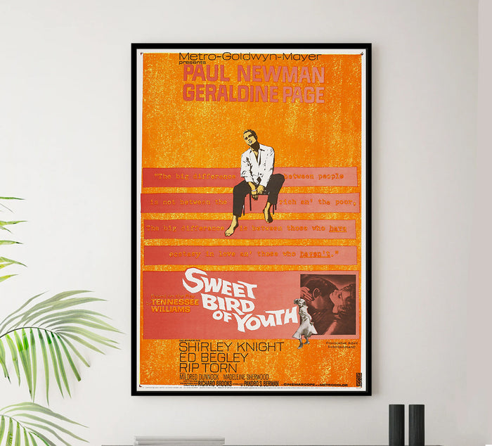 Sweet Bird of Youth 1962 - Paul Newman - US - Classic Movie Poster