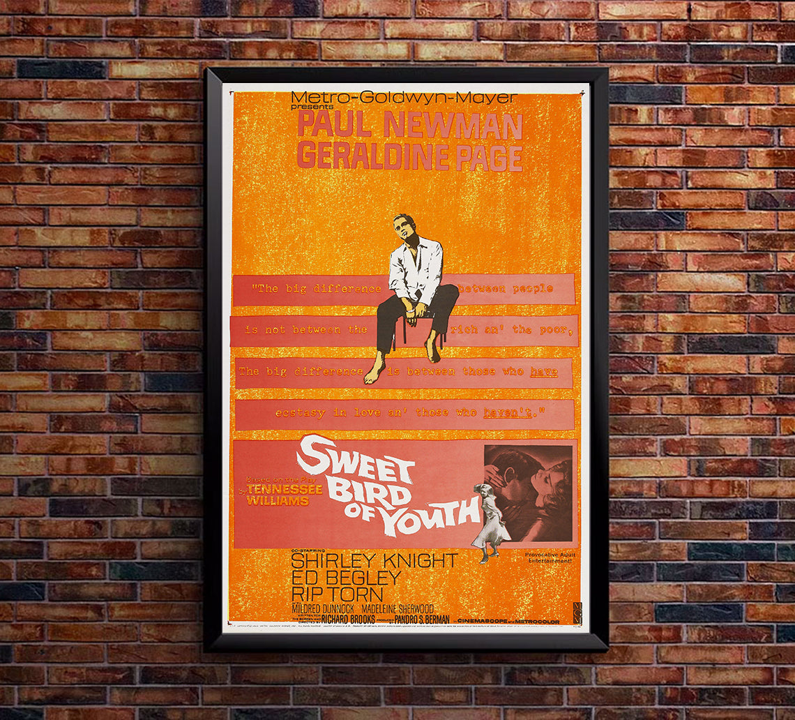 Sweet Bird of Youth 1962 - Paul Newman - US - Classic Movie Poster