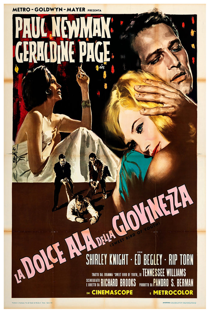 Sweet Bird of Youth 1962 - Paul Newman - Italy - Classic Movie Poster