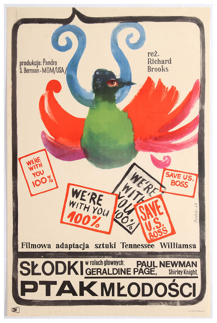 Sweet Bird of Youth 1962 - Paul Newman - Poland - Classic Movie Poster