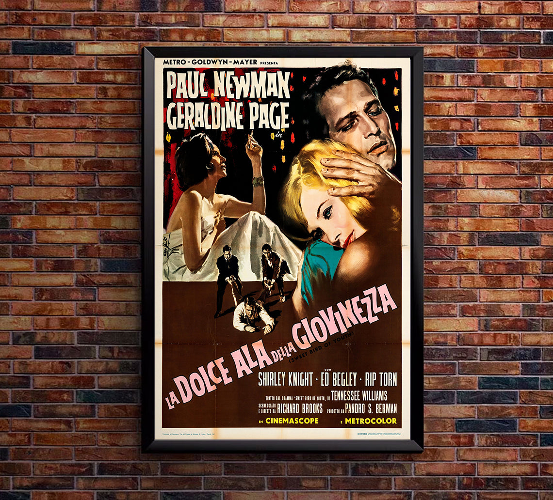 Sweet Bird of Youth 1962 - Paul Newman - Italy - Classic Movie Poster