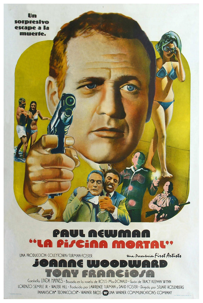 The Drowning Pool 1975 - Paul Newman - Argentina - Classic Movie Poster