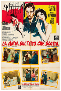 Cat on a Hot Tin Roof 1958 - Paul Newman - Italy (2) - Classic Movie Poster