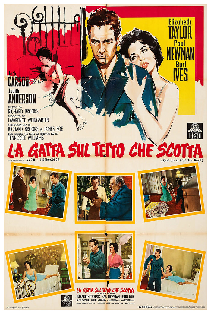 Cat on a Hot Tin Roof 1958 - Paul Newman - Italy (2) - Classic Movie Poster