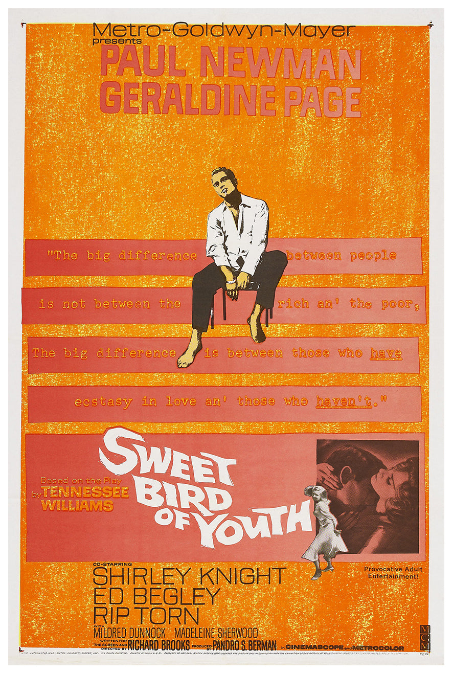 Sweet Bird of Youth 1962 - Paul Newman - US - Classic Movie Poster