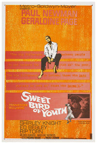 Sweet Bird of Youth 1962 - Paul Newman - US - Classic Movie Poster
