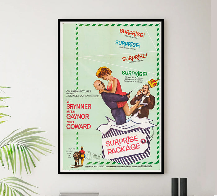 Surprise Package 1960 - US - v1 - Classsic Movie Poster