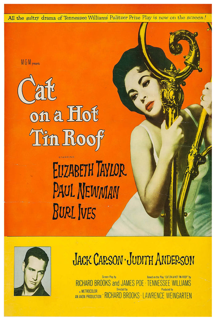 Cat on a Hot Tin Roof 1958 - Paul Newman - US (2) - Classic Movie Poster