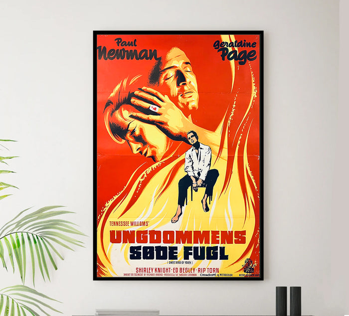Sweet Bird of Youth 1962 - Paul Newman - Denmark - Classic Movie Poster