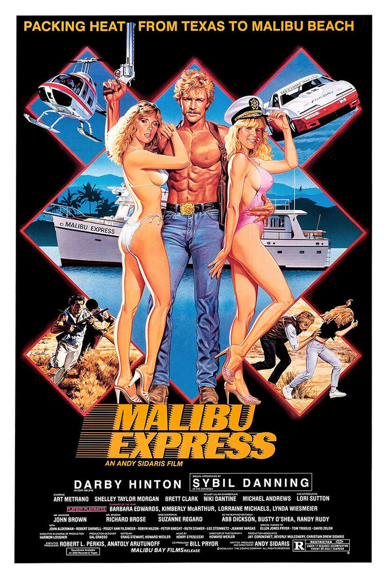 Malibu Express - Sybil Danning - Movie Poster - 1985 - US Version