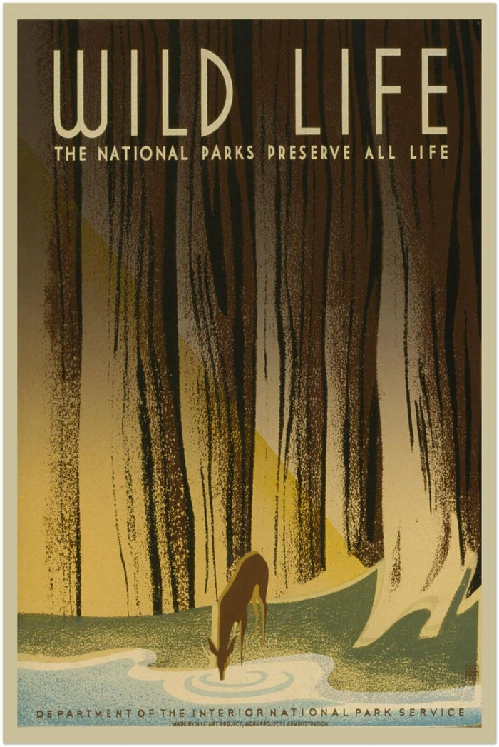 Wild Life Preservation - National Park Service Poster - Vintage Print